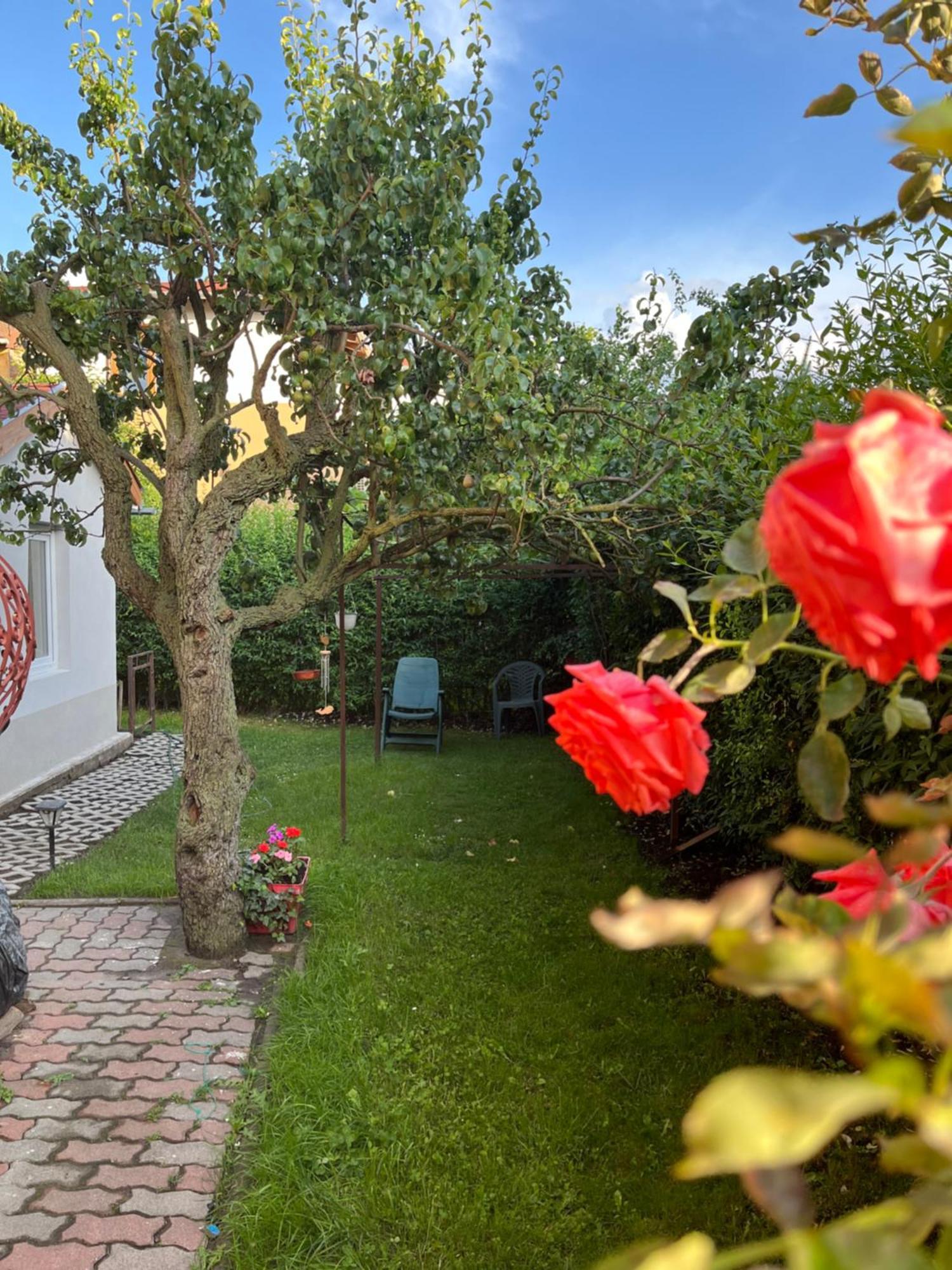 Appartement Rose With Garden & Free Parking *
