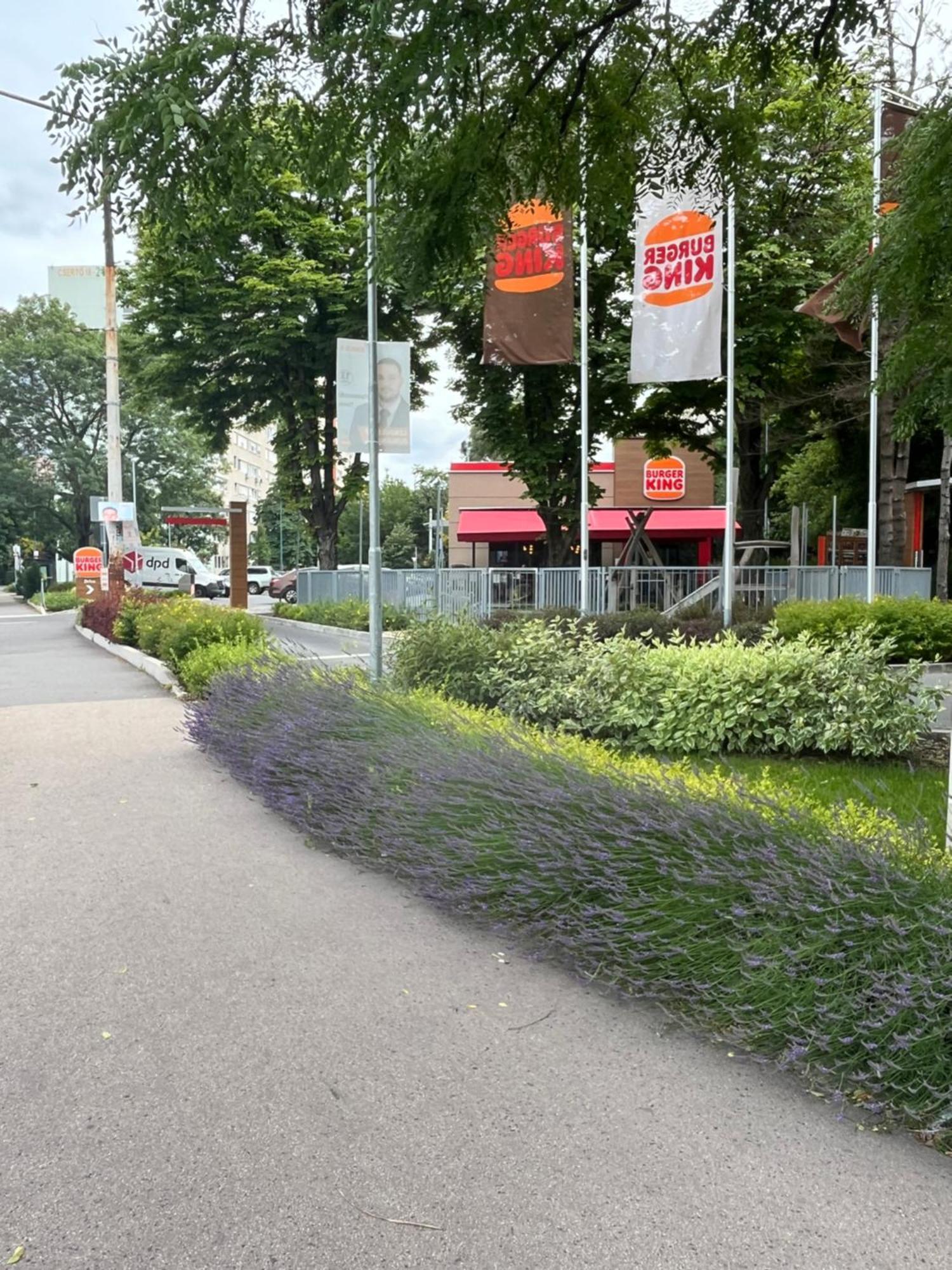 Rose With Garden & Free Parking *