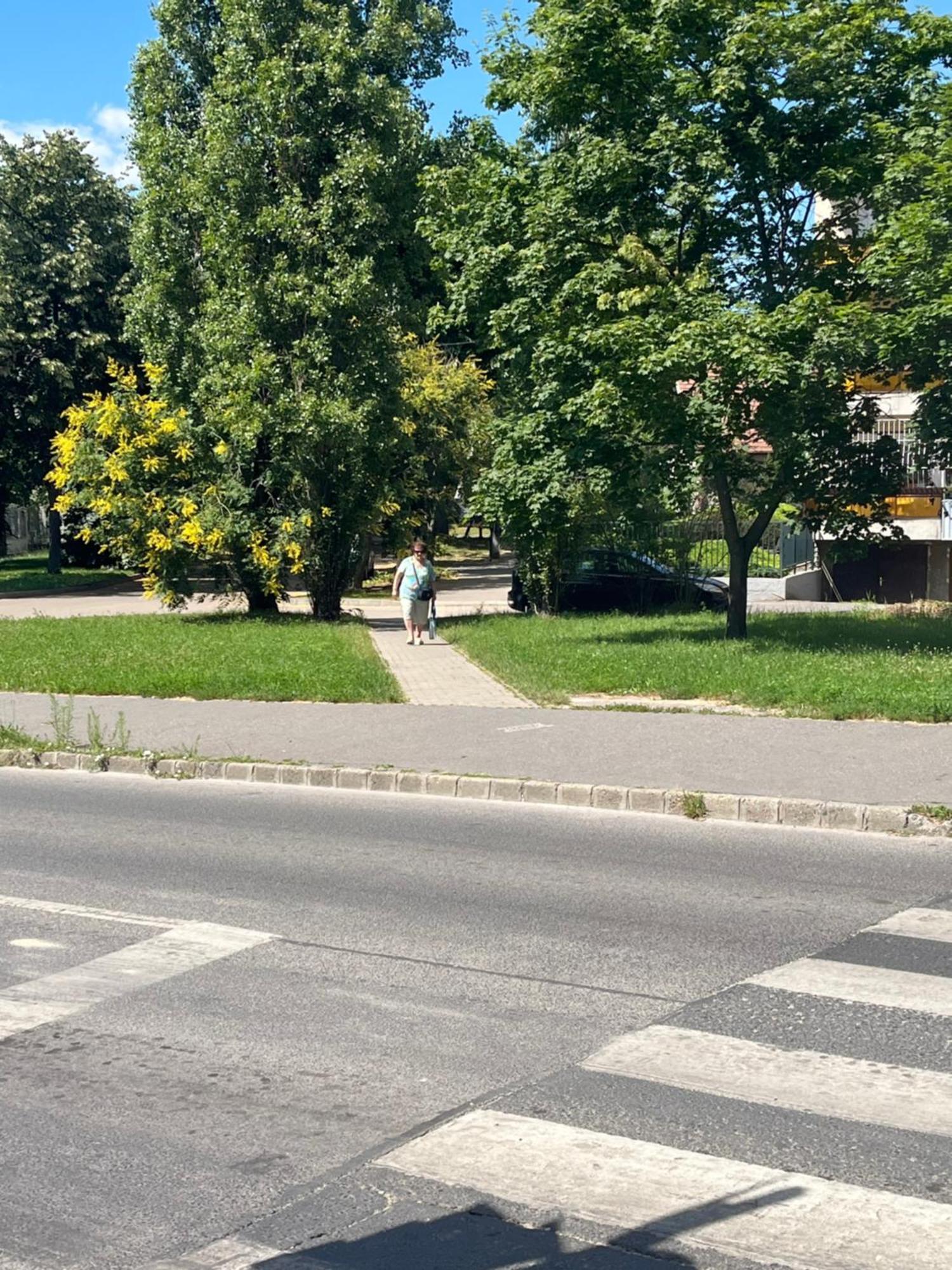Apartmán Rose With Garden & Free Parking Budapešť